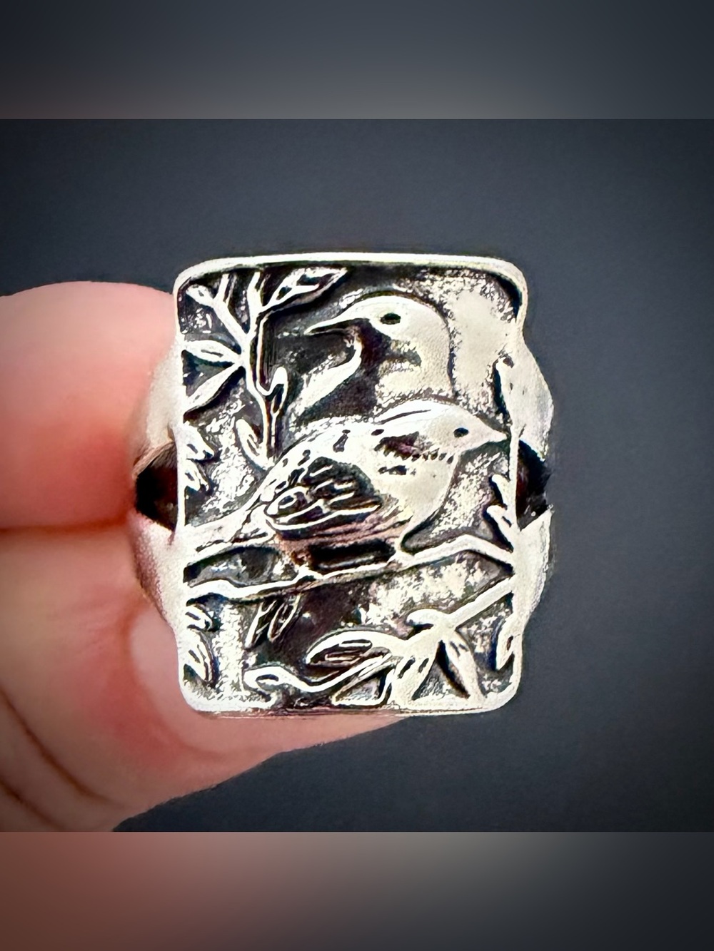 Bird Ring, size 7. Silver plated copper, antique finish